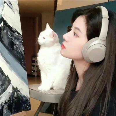我在岛屿读书